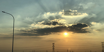 丽江小麦技术优势